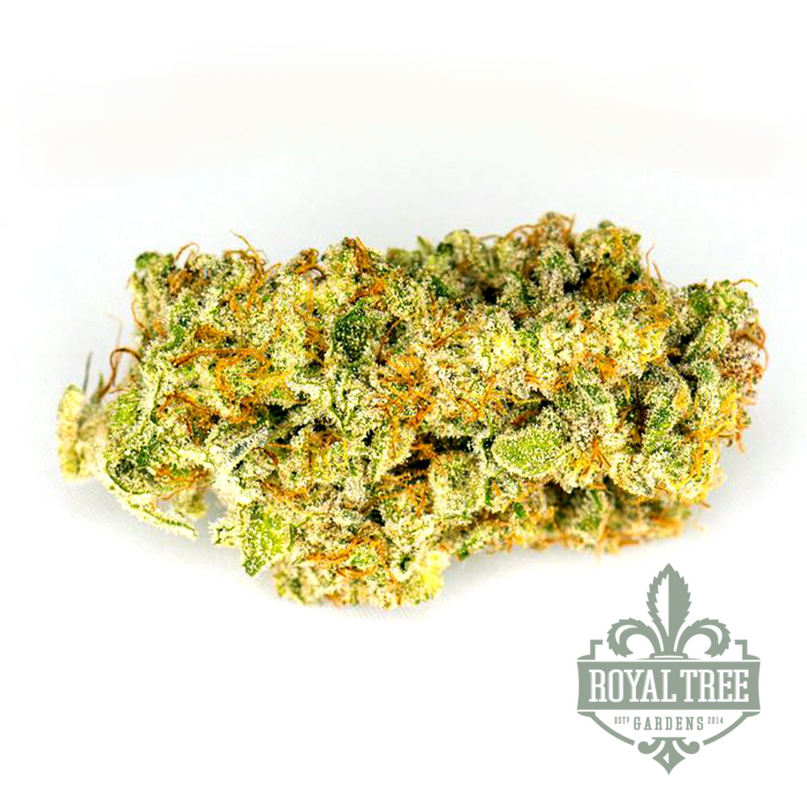 Royal Tree Gardens Blue Galaxy Leafly